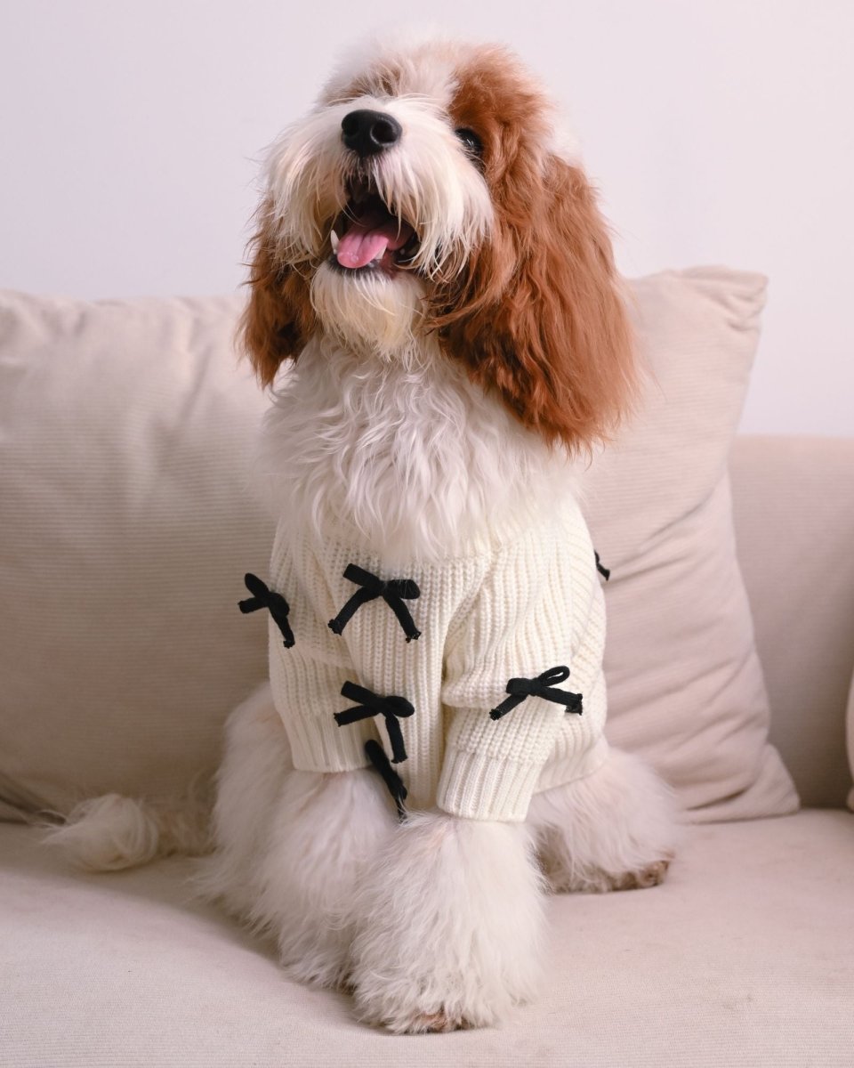 Black Bow - 3D Motif Pet Sweater - Merryreindeer