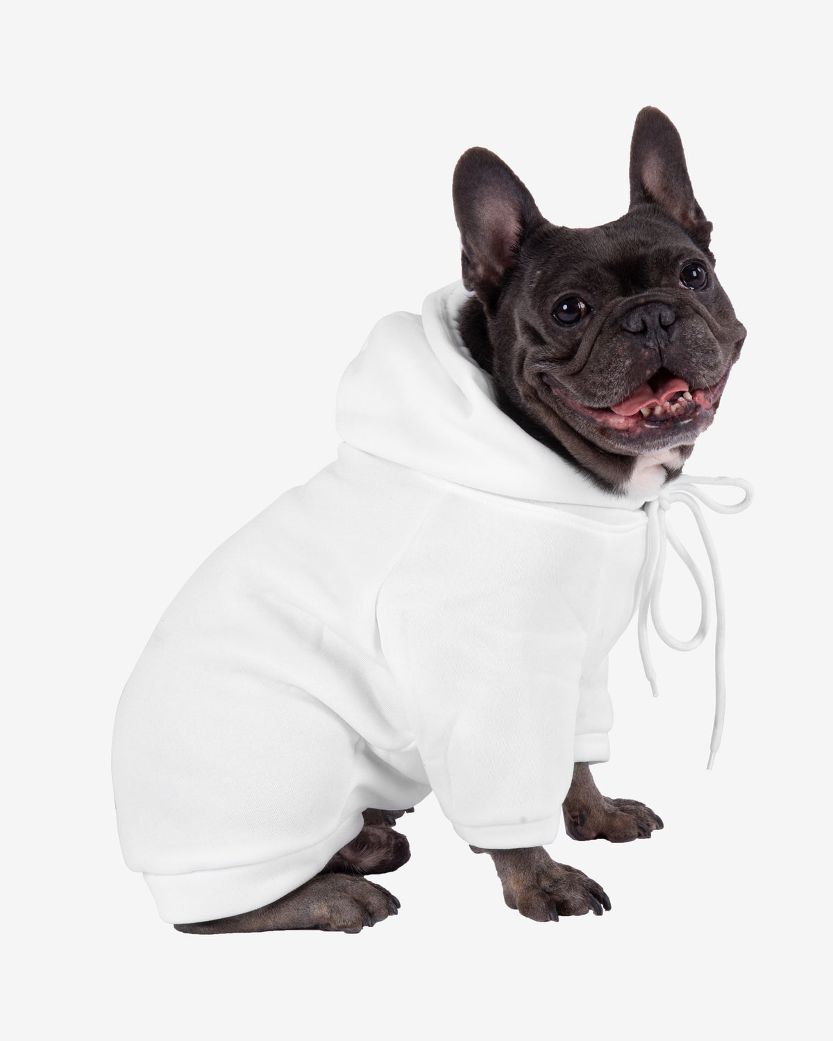 Ivory Cozy Frenchie Hoodie
