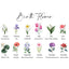 Mum’s Garden Birth Month Flower Personalized LED Night Light – Perfect Mother’s Day Gift for Mum & Grandma