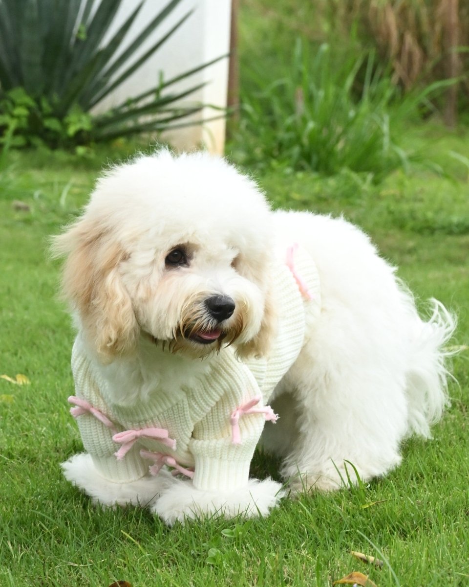 Pink Bow - 3D Motif Pet Sweater - Merryreindeer