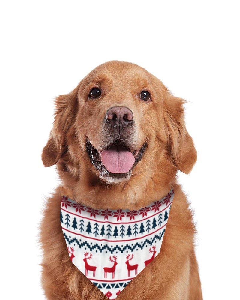 Snug Snowflakes - Family Matching Christmas Pajamas - Merryreindeer